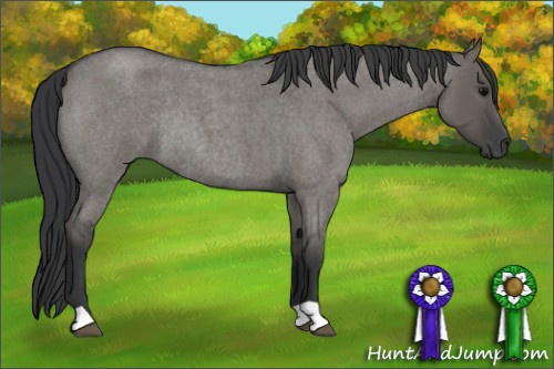 Horse Color: Grullo Roan Rabicano 