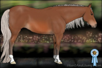 Horse Color:Silver Bay 