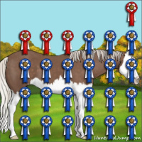 Horse Color:Silver Black Splash 