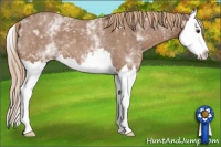 Horse Color:White Spotted Red Roan Splash 