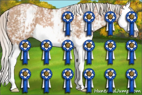 Horse Color: White Spotted Silver Brown Pearl Splash 