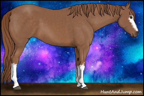 Horse Color: White Spotted Chestnut 