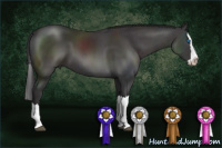 Horse Color:Smoky Black Sabino Splash