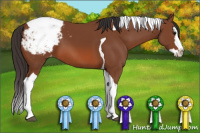 Horse Color:Bay Splash Tobiano Appaloosa