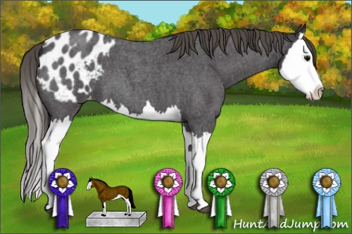 Horse Color: Smoky Blue Roan Splash Blanket 