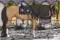 Horse Color:Bay Splash Frame 