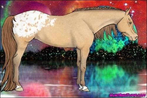 Horse Color: Sable Cream Champagne Blanket 