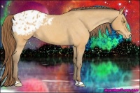 Horse Color:Sable Cream Champagne Appaloosa