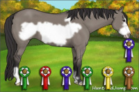 Horse Color:Smoky Grullo Frame 