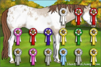 Horse Color:Classic Champagne Roan Dun Splash Frame Appaloosa 