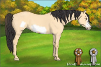 Horse Color:Buckskin Dun Frame 