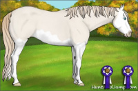 Horse Color:Smoky Creme Dun Splash 