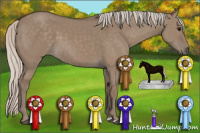 Horse Color:Silver Grullo 