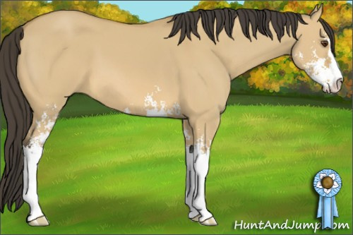 Horse Color: Buckskin Dun Sabino 