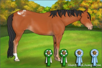 Horse Color:Bay Snowcap 