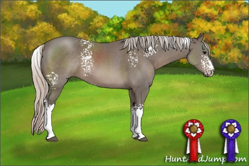 Horse Color: White Spotted Silver Black Tobiano 