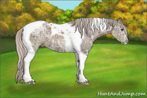 Horse Color: Silver Black Ice Tobiano 