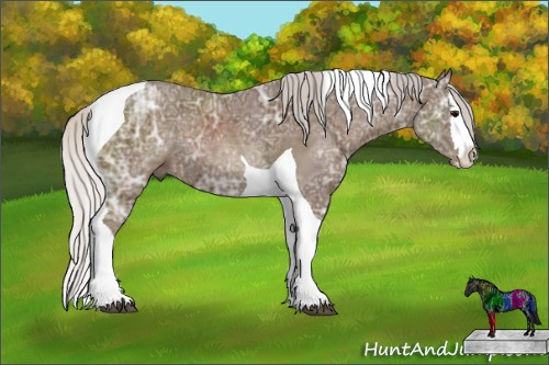 Horse Color: Silver Black Ice Sabino Splash Tobiano 