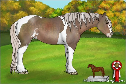 Horse Color: Silver Black Sabino Tobiano 