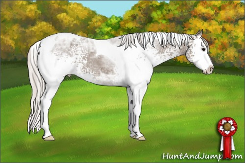 Horse Color: White Spotted Silver Black Ice Splash Tobiano 