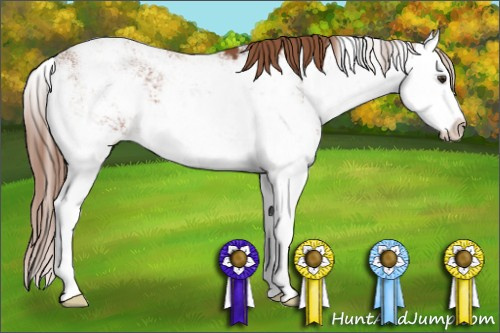 Horse Color: Liver Chestnut Sabino Splash 