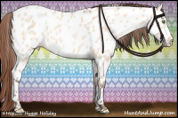 Horse Color:Amber Champagne Roan Dun Near Leopard 