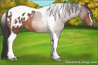Horse Color:Bay Sabino Tobiano Blanket 