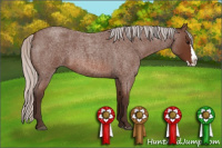 Horse Color:Silver Bay Roan Splash 