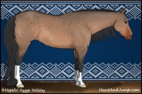 Horse Color:Bay Dun