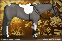 Horse Color:Grullo Roan Tobiano 