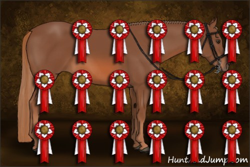 Horse Color: Liver Chestnut 