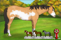 Horse Color:Buckskin Roan Frame Rabicano