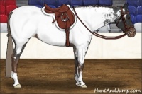 Horse Color:Liver Chestnut Appaloosa 