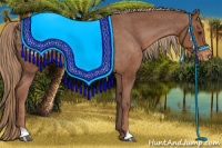 Horse Color:Liver Chestnut Blanket Rabicano 