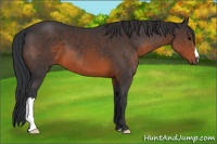 Horse Color:Brown 
