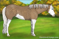 Horse Color:Silver Smoky Black Splash 