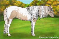 Horse Color:White Spotted Chocolate Palomino Pearl Tobiano 