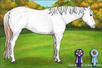 Horse Color:Black Varnish Rabicano 