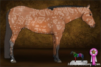 Horse Color:Bay Ice 