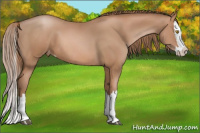 Horse Color:Bay Pearl Sabino Splash Appaloosa 