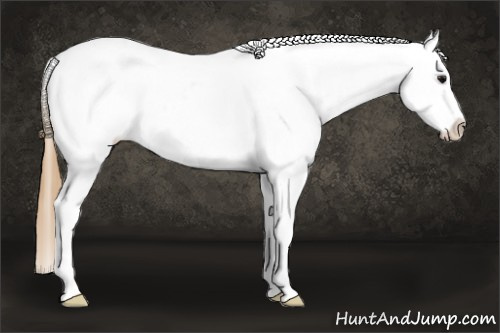 Horse Color: Smoky Black Splash Tobiano Blanket 