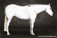 Horse Color:Smoky Black Splash Tobiano Blanket 