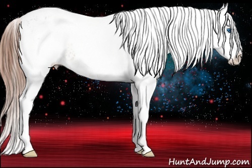 Horse Color: White Spotted Brown Dun Splash Blanket Rabicano 