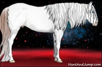 Horse Color:White Spotted Bay Dun Splash Appaloosa Rabicano 