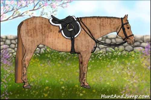 Horse Color:Bay  Brindle