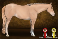 Horse Color:Gold Champagne