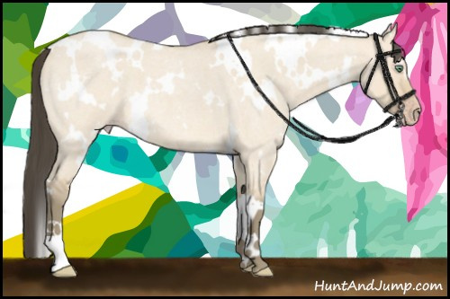 Horse Color: White Spotted Amber Cream Champagne Roan Dun 