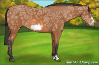 Horse Color:Bay Ice Frame 