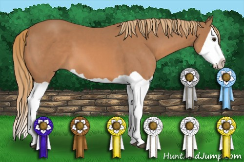Horse Color: Chestnut Splash 
