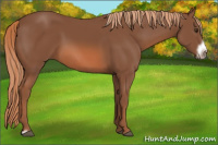 Horse Color:Chestnut Frame